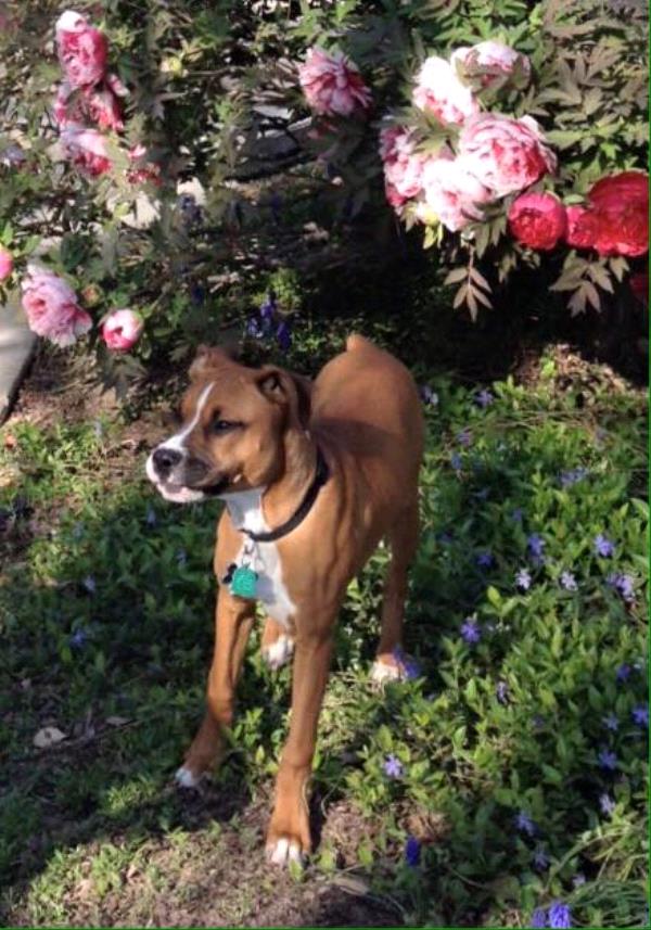 /Images/uploads/Humane Society of Utah/HSUCalendar/entries/1163thumb.jpg